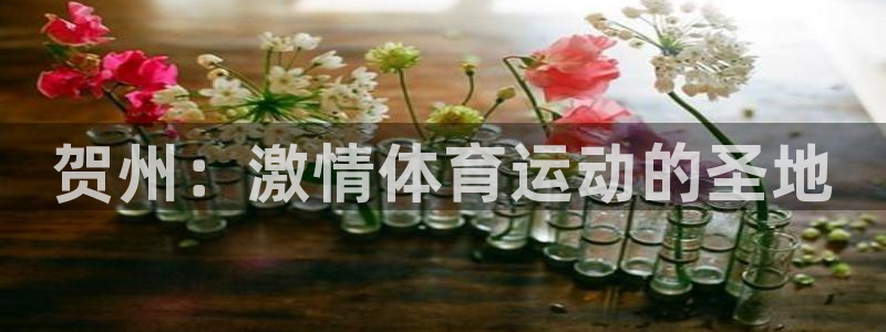 千亿国际官网下载平台注册：贺州：激情体育运动的圣地