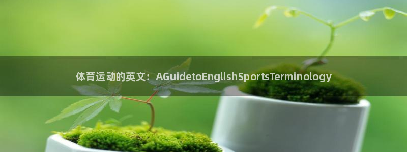千亿国际官网下载招商电话：体育运动的英文：AGuidetoE