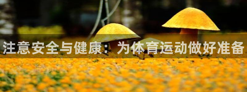 千亿国际官方正版app官方：注意安全与健康：为体育运