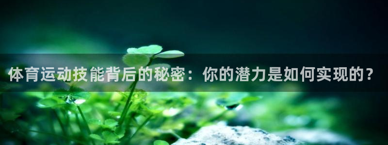千亿国际官网下载招商电话地址是多少：体育运动技能背后