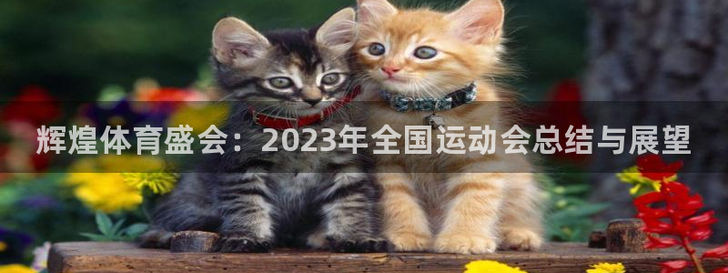 千亿国际官网下载招商电话是多少号码：辉煌体育盛会：2
