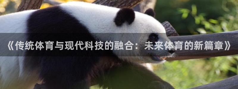 千亿国际官网下载招商电话是多少号码：《传统体育与现代