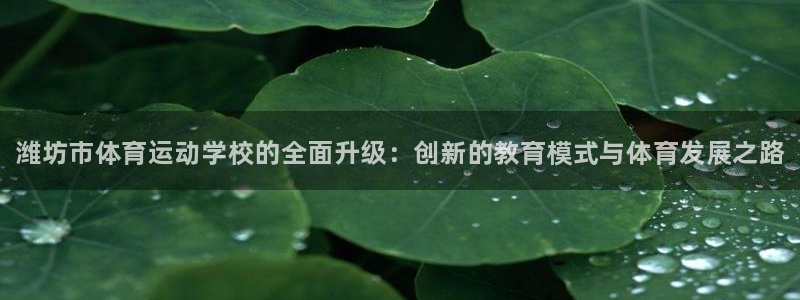千亿国际官网下载招商电话地址：潍坊市体育运动学校的全面升级：