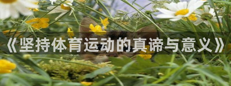 千亿国际官方正版app科技：《坚持体育运动的真谛与意义》