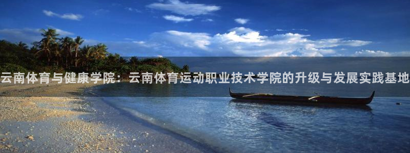 千亿国际官方正版app官方：云南体育与健康学院：云南