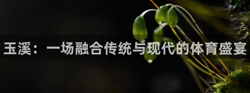 千亿国际官网下载开户：玉溪：一场融合传统与现代的体育盛宴