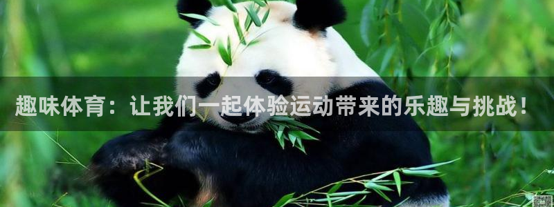 千亿国际官网下载平台注册流程图：趣味体育：让我们一起