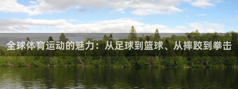 千亿国际官网下载招商电话号码：全球体育运动的魅力：从足球到篮