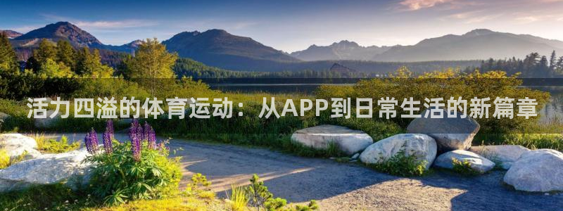 千亿国际官网下载招商电话号码：活力四溢的体育运动：从