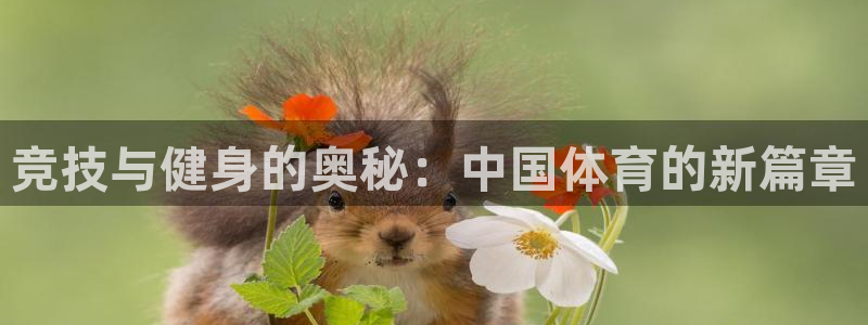 千亿国际官方正版app开户：竞技与健身的奥秘：中国体