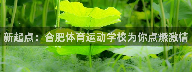 千亿国际官方正版app科技：新起点：合肥体育运动学校为你点燃