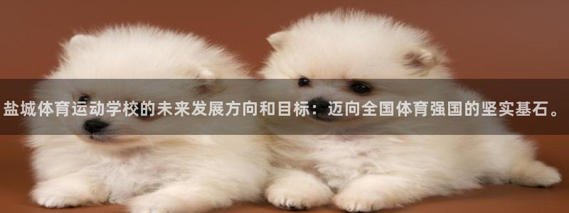 千亿国际官方正版app开户