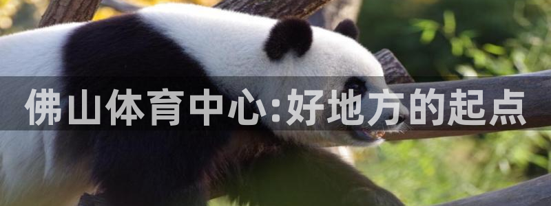  千亿国际是做什么的呢知乎：佛山体育中心:好地方的起点