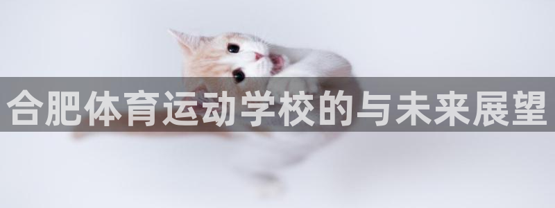 QY千亿国际：合肥体育运动学校的与未来展望