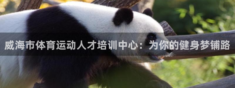 千亿国际qy88vip下载：威海市体育运动人才培训中心：为你