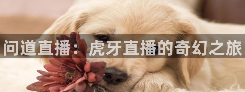 24直播网nba官网下载