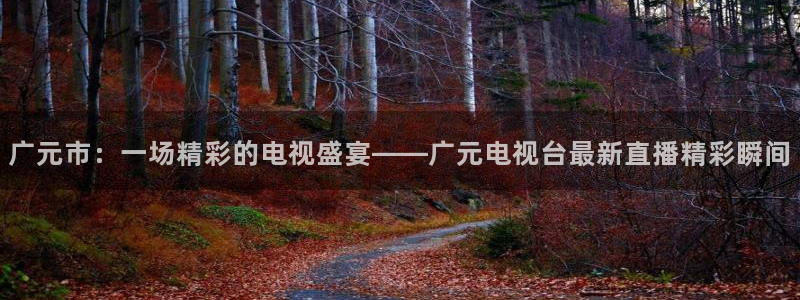 24直播网足球