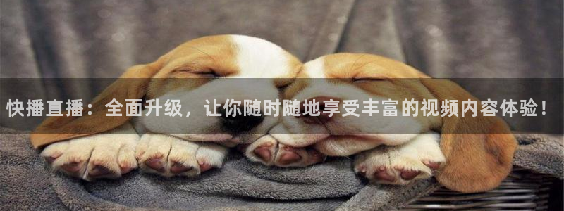 24直播网足球直播