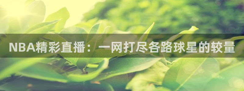 足球24直播网：NBA精彩直播：一网打尽各路球星的较量