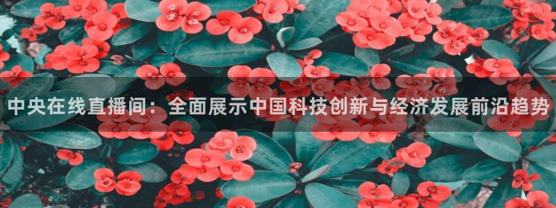 24直播网篮球免费直播回放：中央在线直播间：全面展示中国科技创新与经济发展前沿趋势