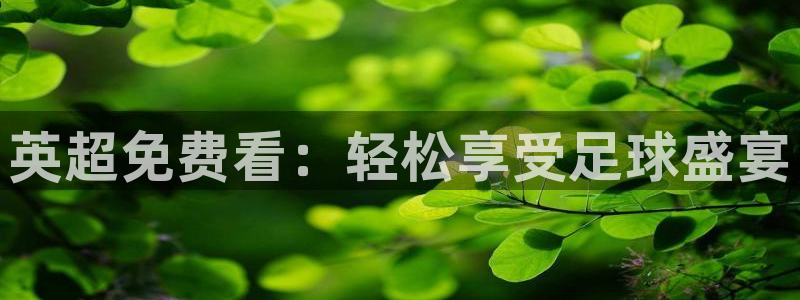 nba直播 24直播：英超免费看：轻松享受足球盛宴