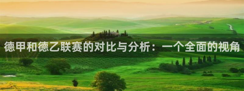24直播体育免费观看入口：德甲和德乙联赛的对比与分析：一个全面的视角